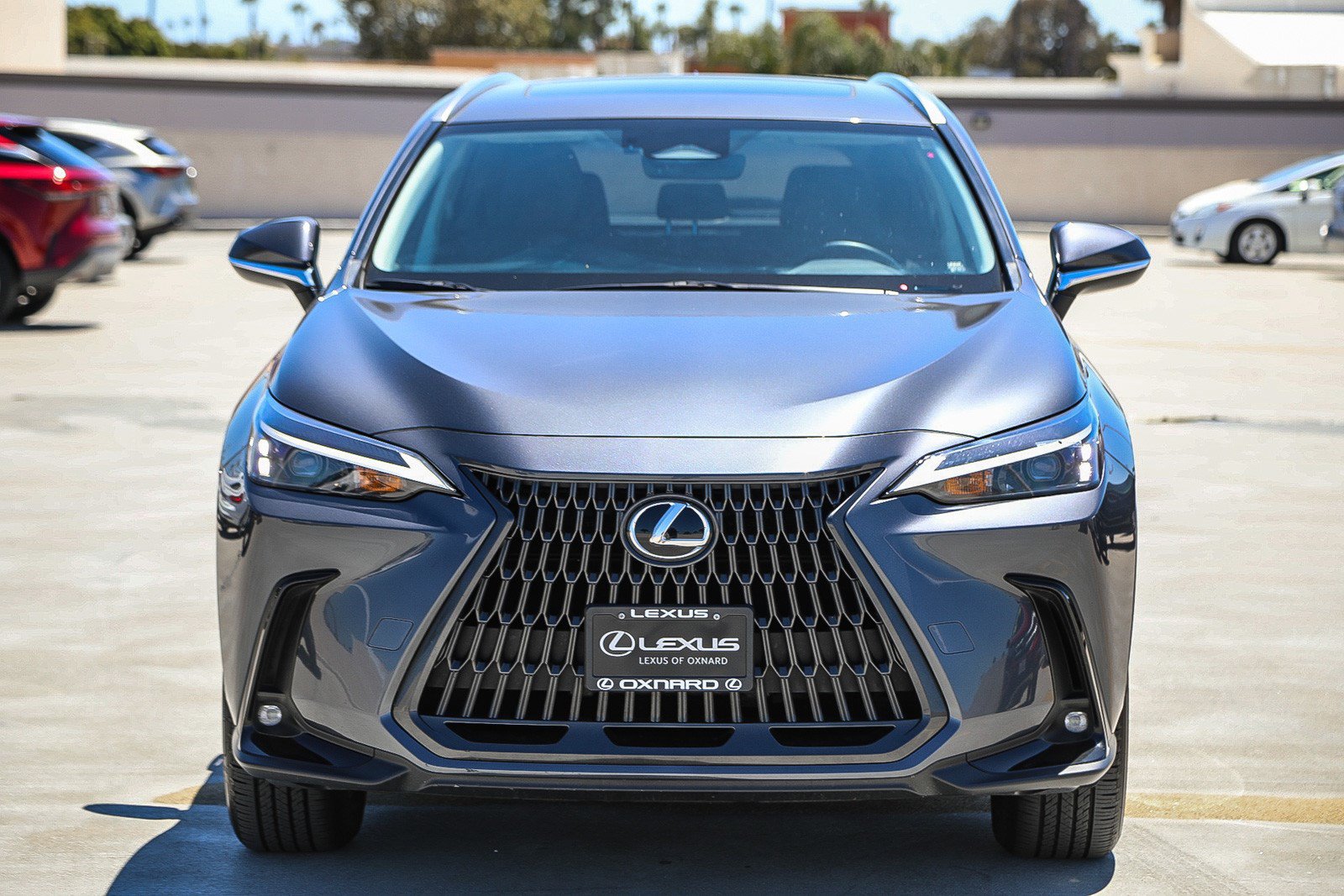 Used 2024 Lexus NX 350h AWD w/ Cold Area Package image 2