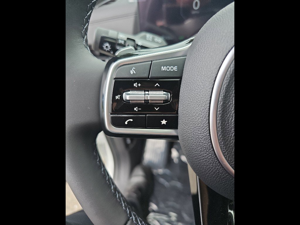 New 2026 Kia Carnival SX Prestige image 14