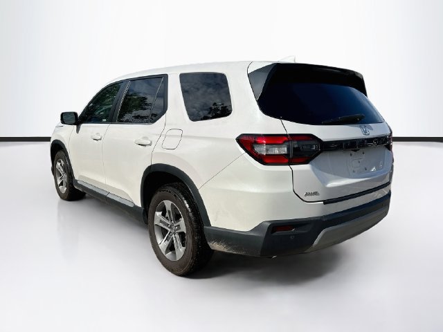 Certified 2024 Honda Pilot EX-L image 6