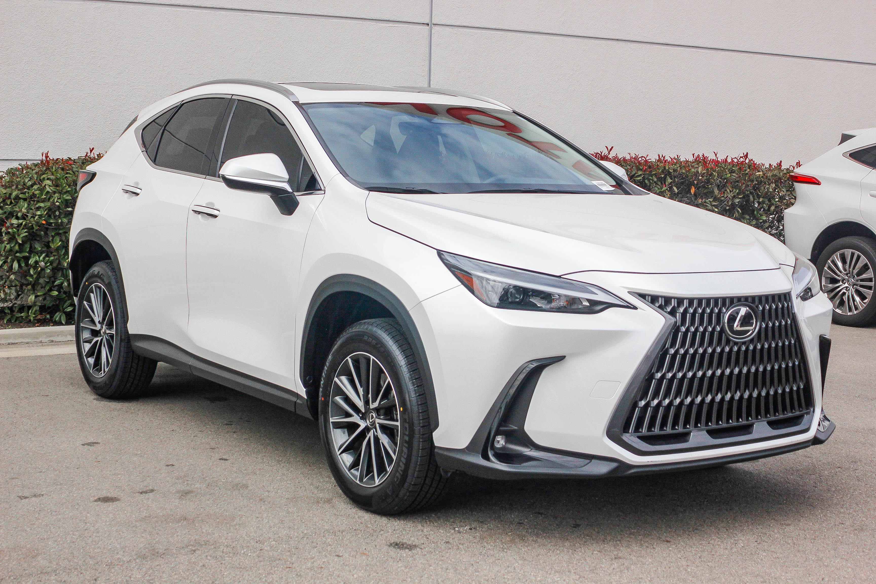 Used 2024 Lexus NX 350 AWD w/ Cold Area Package image 3
