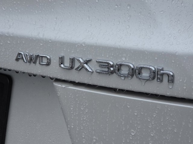 New 2025 Lexus UX 300h AWD image 11
