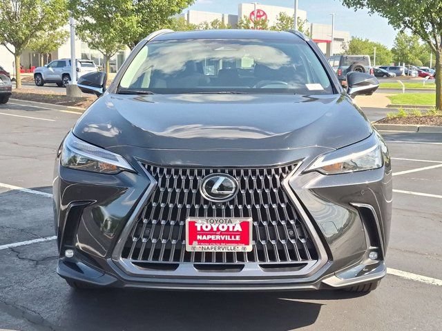 Used 2025 Lexus NX 350 AWD w/ Cold Area Package image 5