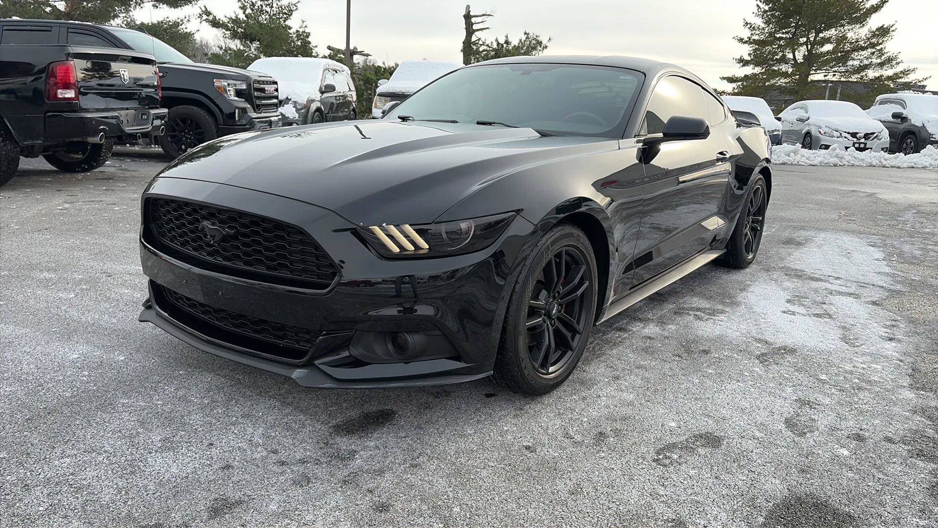 Used 2017 Ford Mustang Coupe image 16
