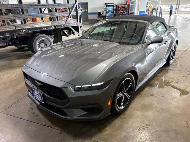 Certified 2025 Ford Mustang Premium image 4