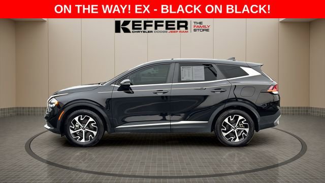 Used 2023 Kia Sportage EX image 2