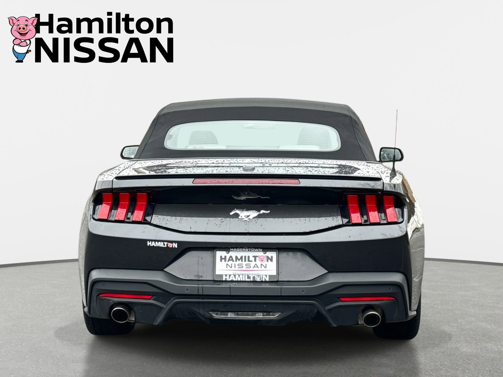 Used 2024 Ford Mustang Premium image 3