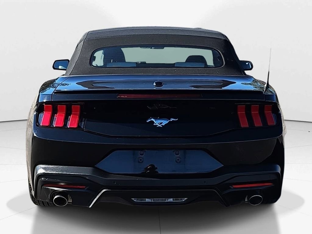 Used 2024 Ford Mustang Premium image 6