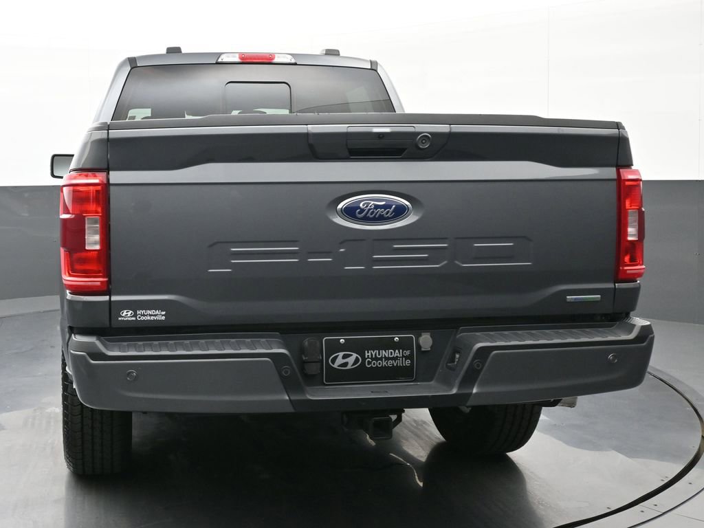 Used 2023 Ford F150 XLT w/ Equipment Group 302A High image 4