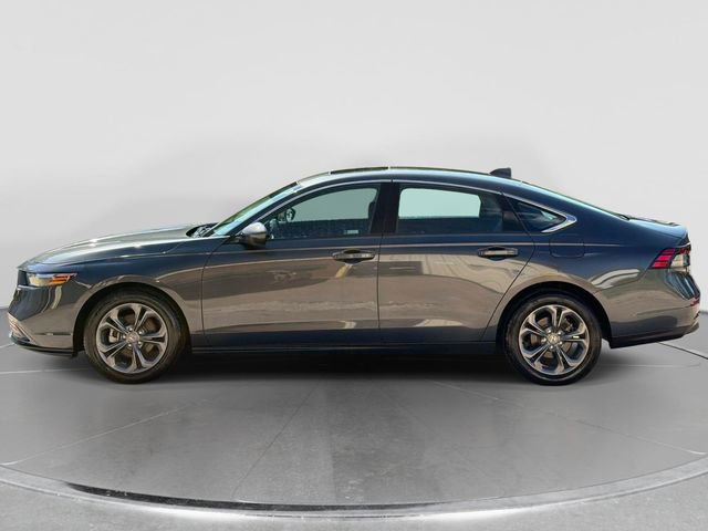 Used 2024 Honda Accord EX image 2