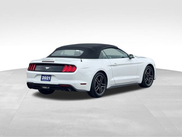 Used 2021 Ford Mustang Premium image 4