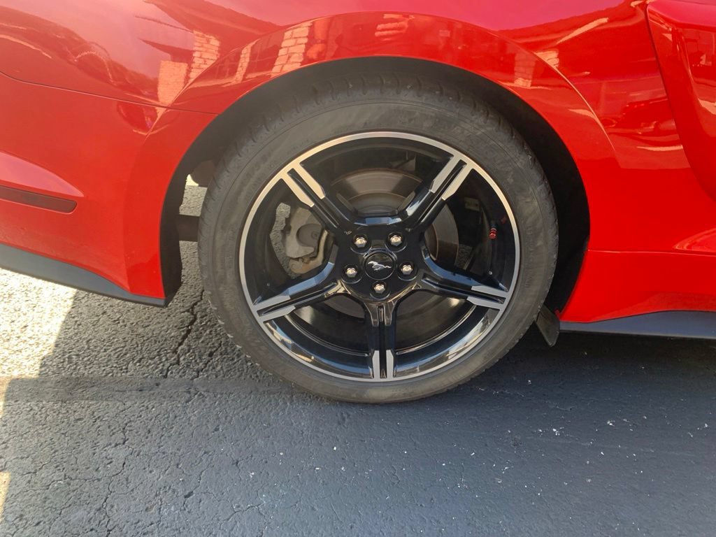 Used 2019 Ford Mustang GT Premium w/ California Special Package RWD image 21