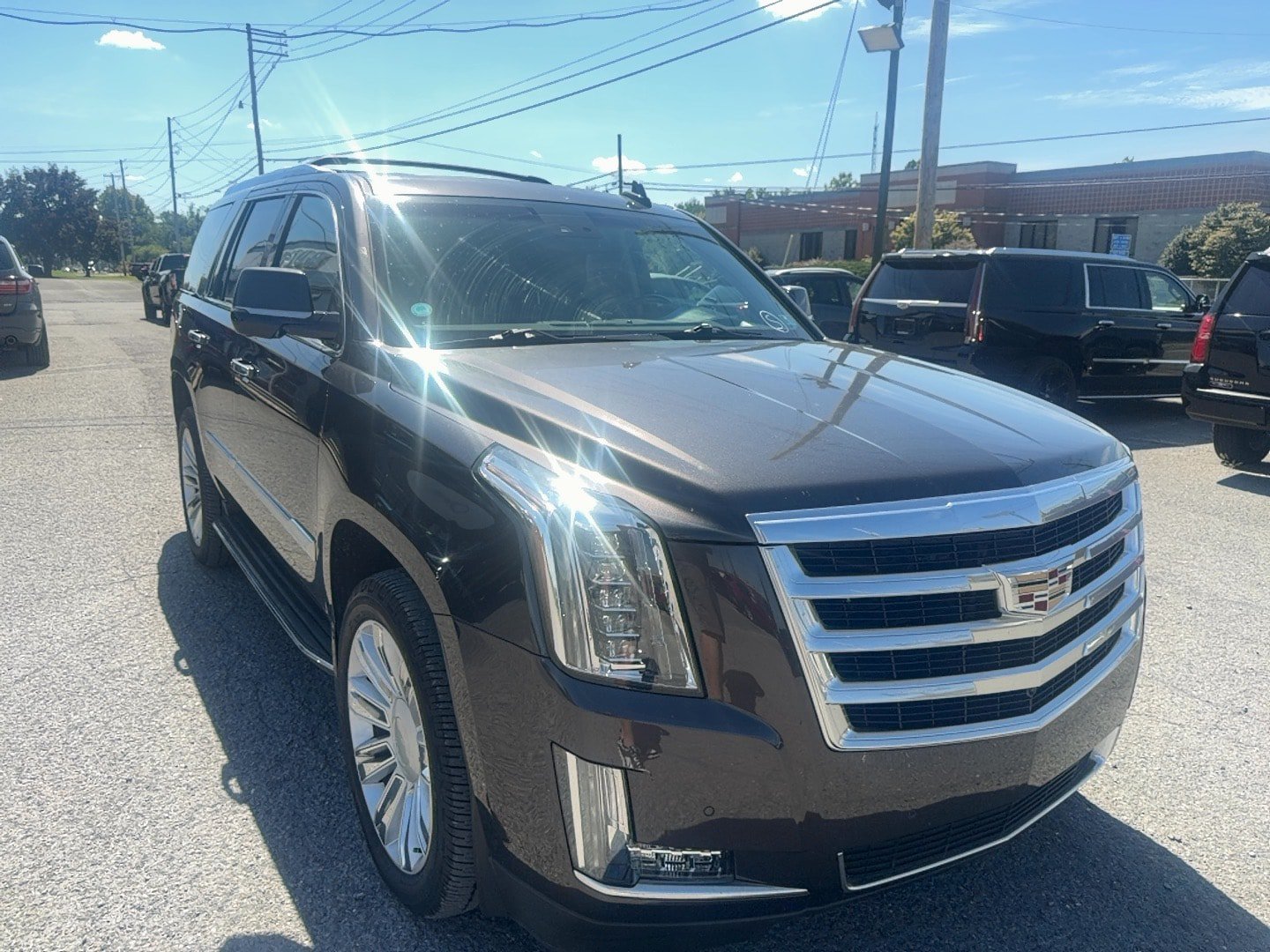 Used 2016 Cadillac Escalade Luxury AWD/4WD image 7