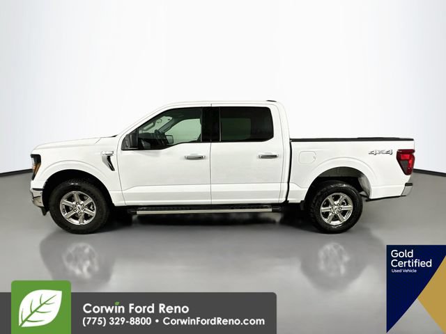 Used 2025 Ford F150 XLT w/ Equipment Group 301A Standard AWD/4WD image 5
