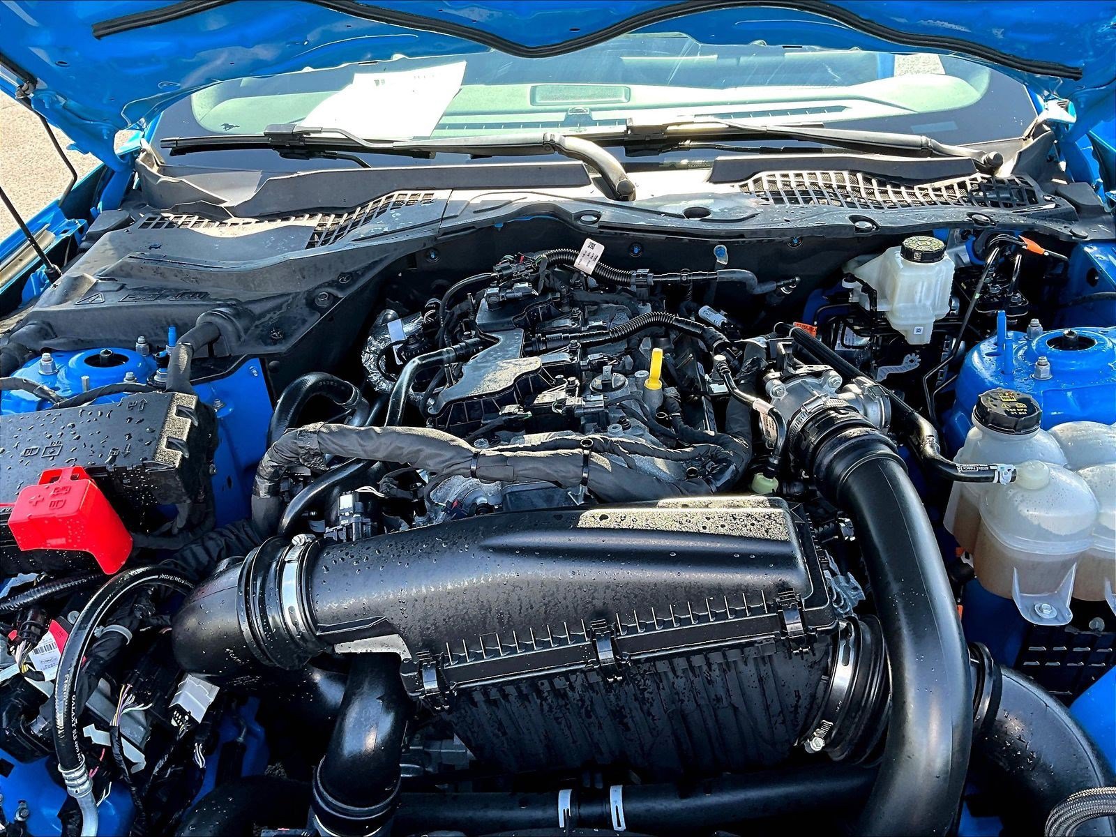 Used 2024 Ford Mustang Premium RWD image 27