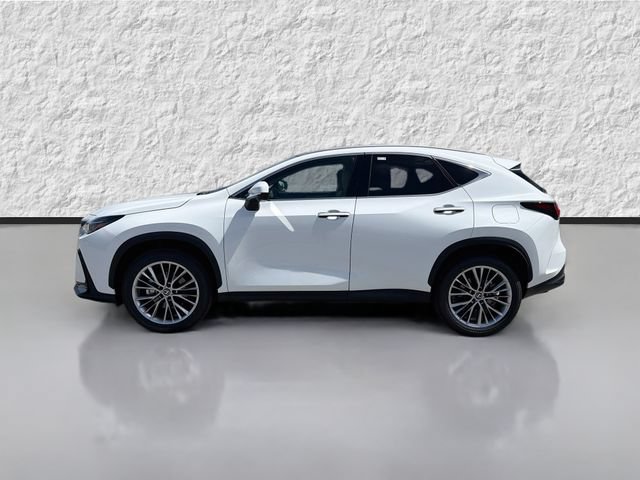 New 2026 Lexus NX 350 AWD w/ Luxury Package image 6