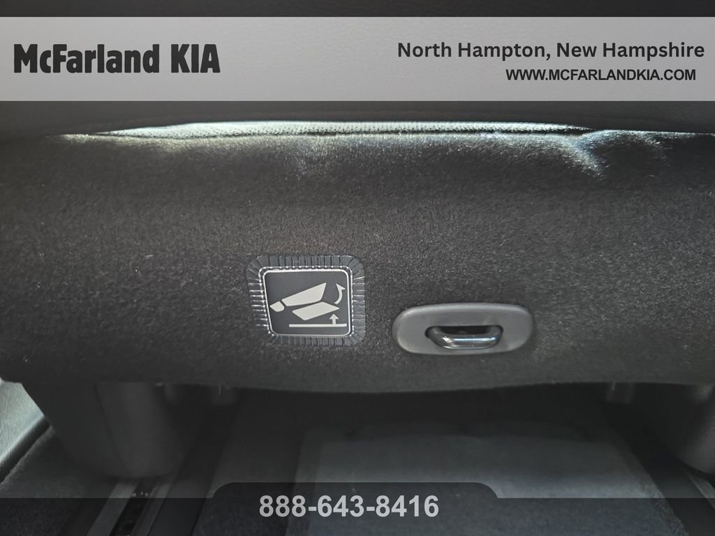 New 2026 Kia Carnival SX Prestige image 26