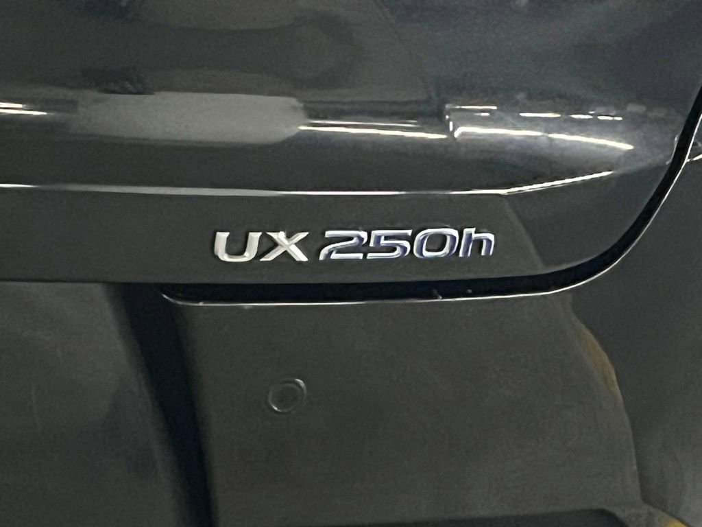 Used 2019 Lexus UX 250h w/ Premium Package image 34