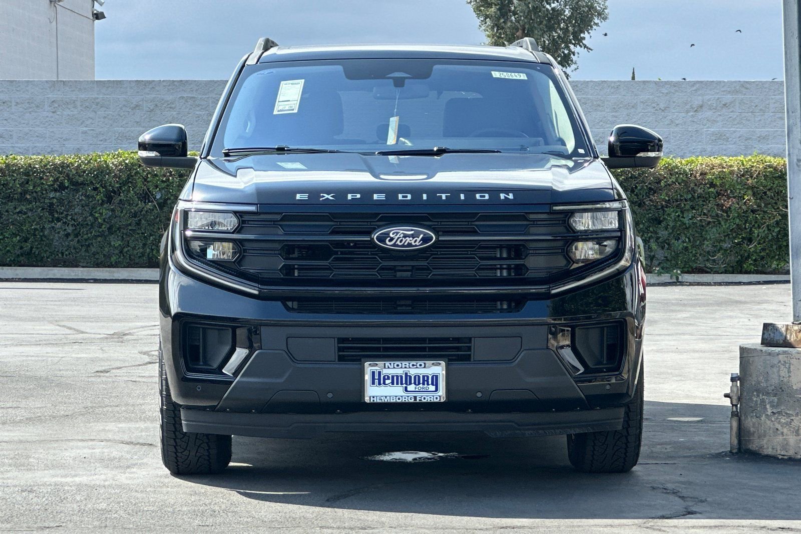 New 2025 Ford Expedition Active image 9