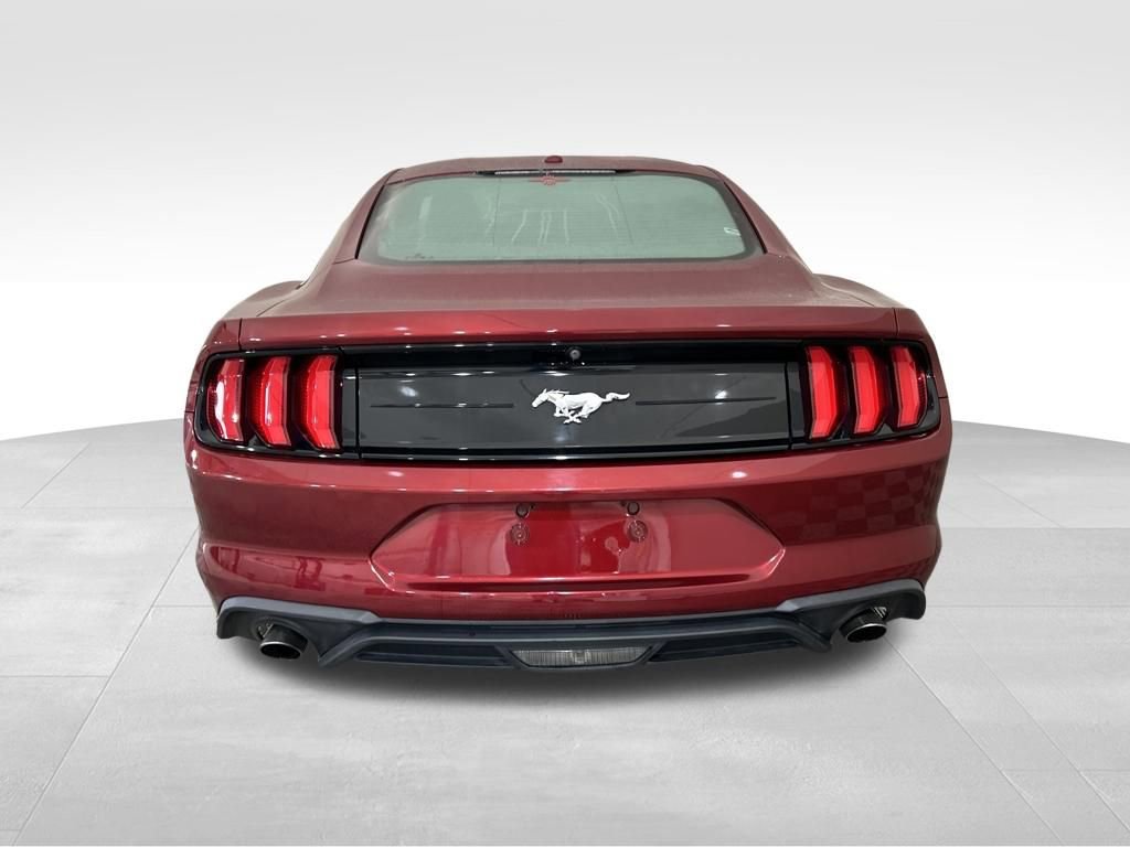 Used 2019 Ford Mustang EcoBoost image 4