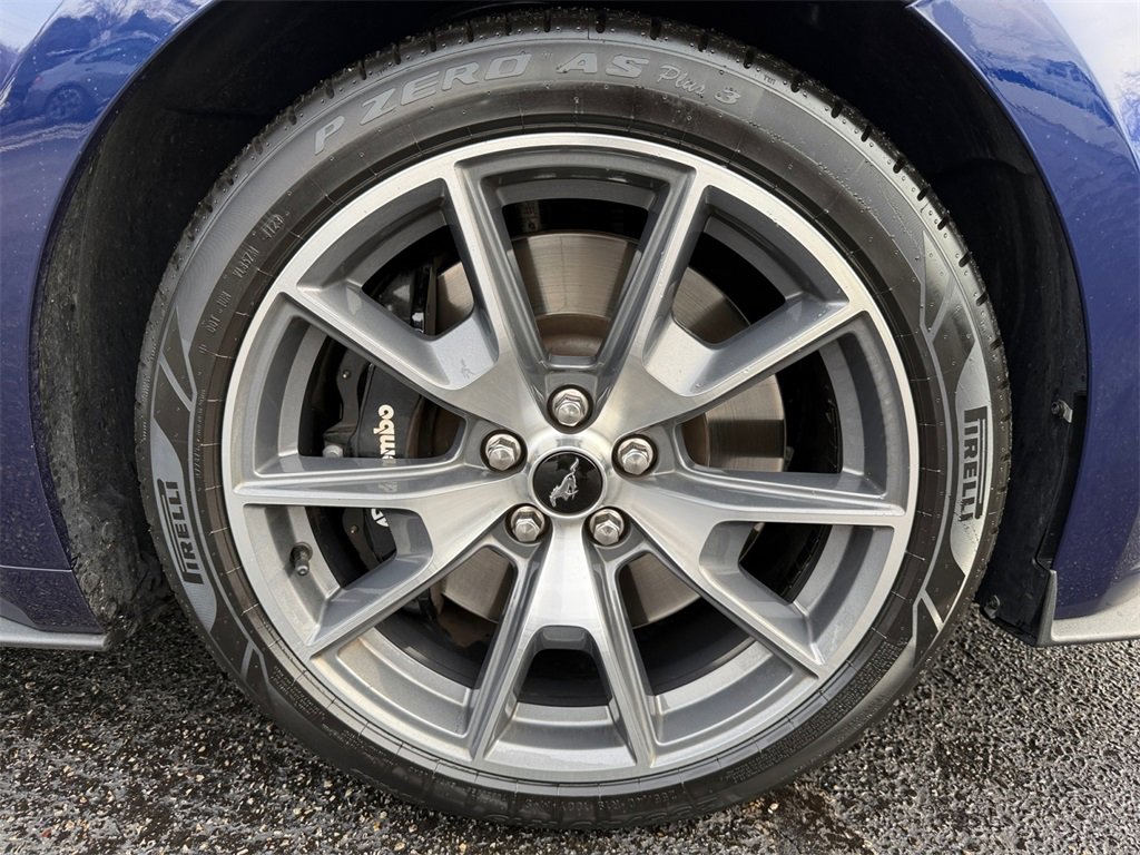 Used 2015 Ford Mustang 50 Years image 18