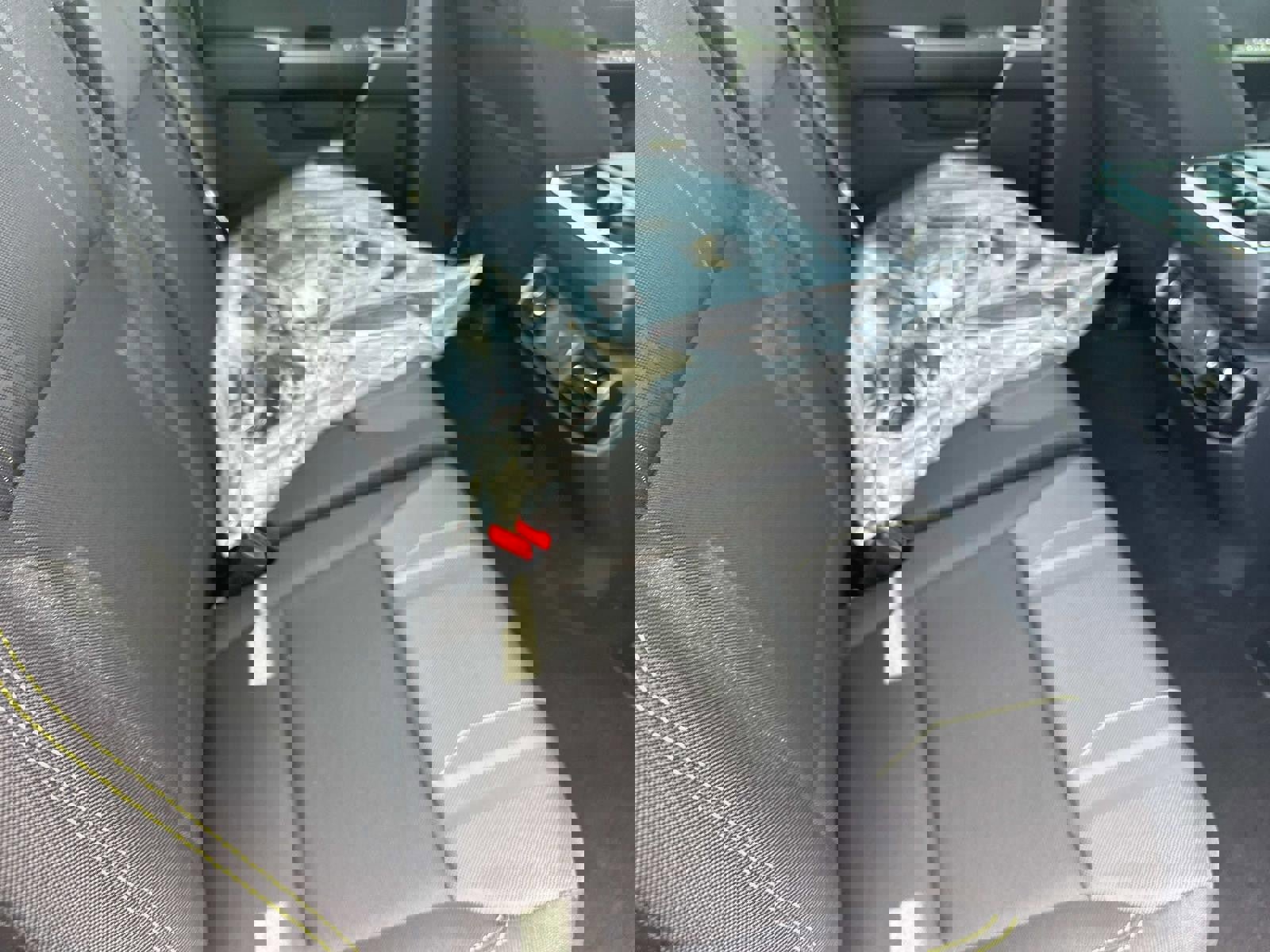 New 2025 Ford F150 STX w/ Equipment Group 200A image 46