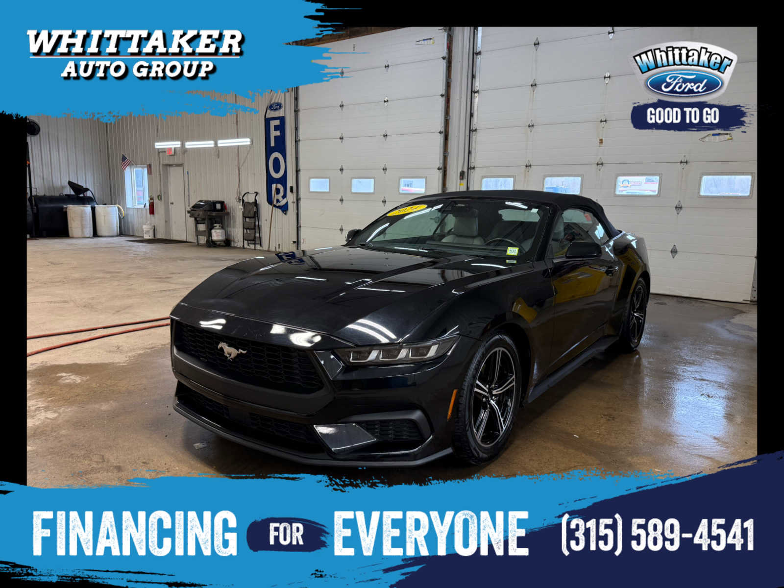 Used 2024 Ford Mustang Premium image 1