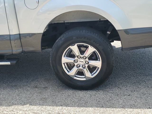 Used 2019 Ford F150 XLT w/ Equipment Group 302A Luxury AWD/4WD image 8
