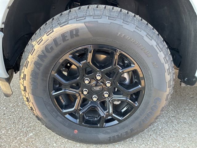 New 2025 Ford F150 XLT w/ Equipment Group 301A Standard image 15