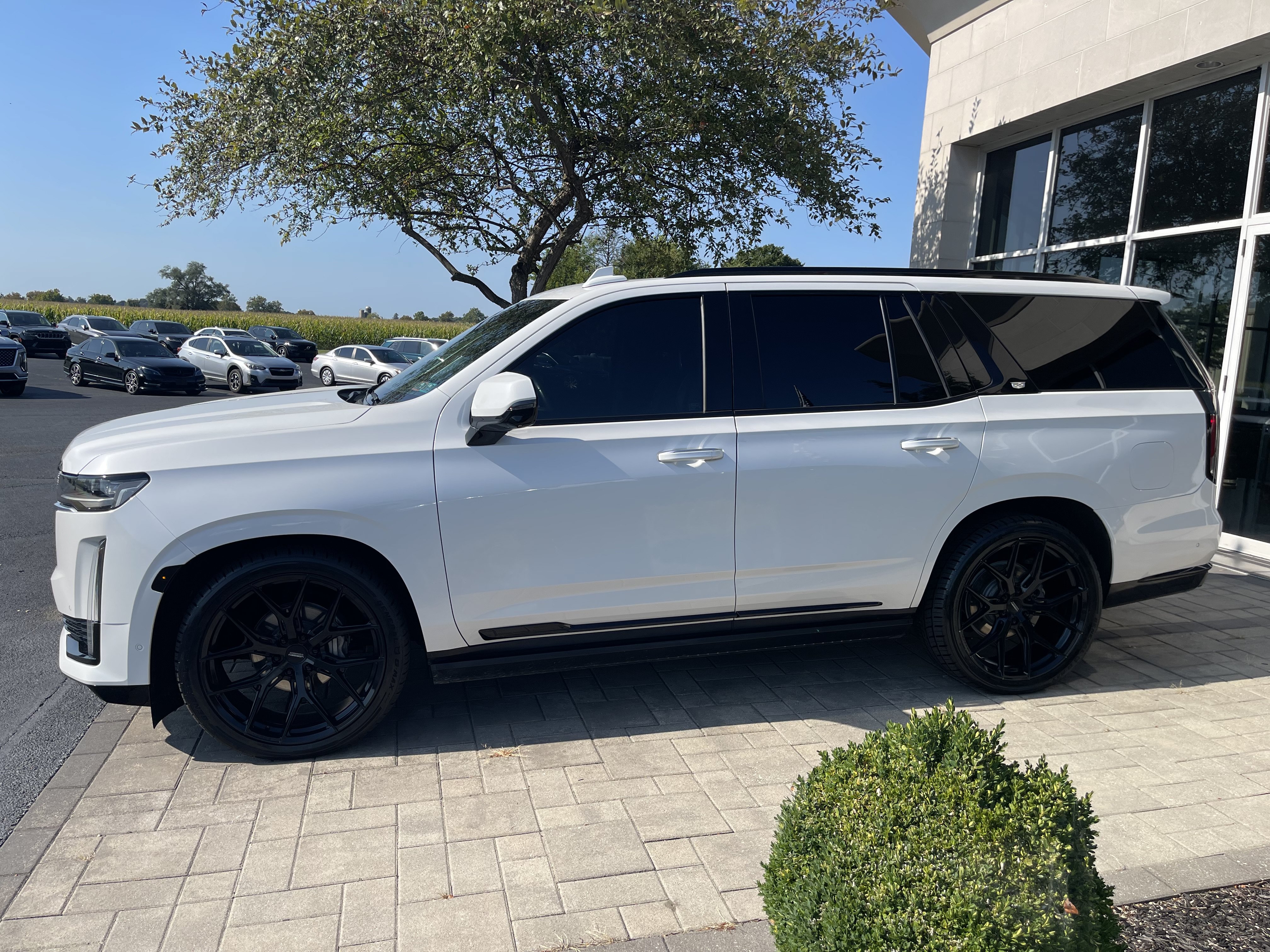 Used 2023 Cadillac Escalade Premium Luxury Platinum AWD/4WD image 5