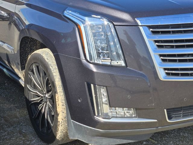 Used 2017 Cadillac Escalade ESV Platinum image 4