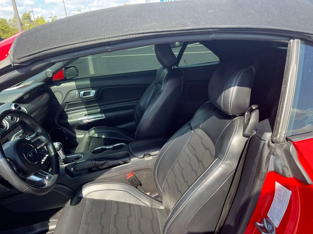 Used 2019 Ford Mustang GT Premium w/ Equipment Group 401A image 20