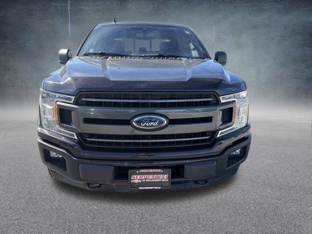 Used 2019 Ford F150 XLT w/ Equipment Group 302A Luxury AWD/4WD image 3