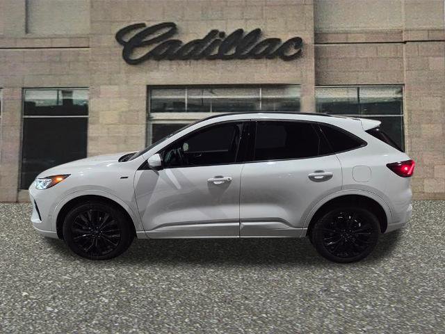 Used 2023 Ford Escape ST-Line Elite w/ Premium Technology Package image 2