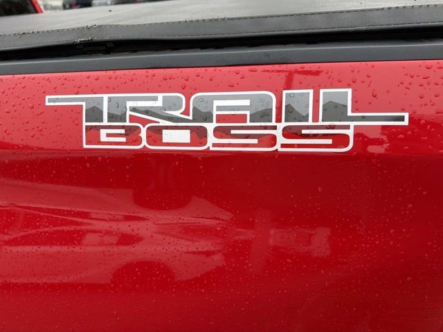 Used 2019 Chevrolet Silverado 1500 Custom Trail Boss image 31