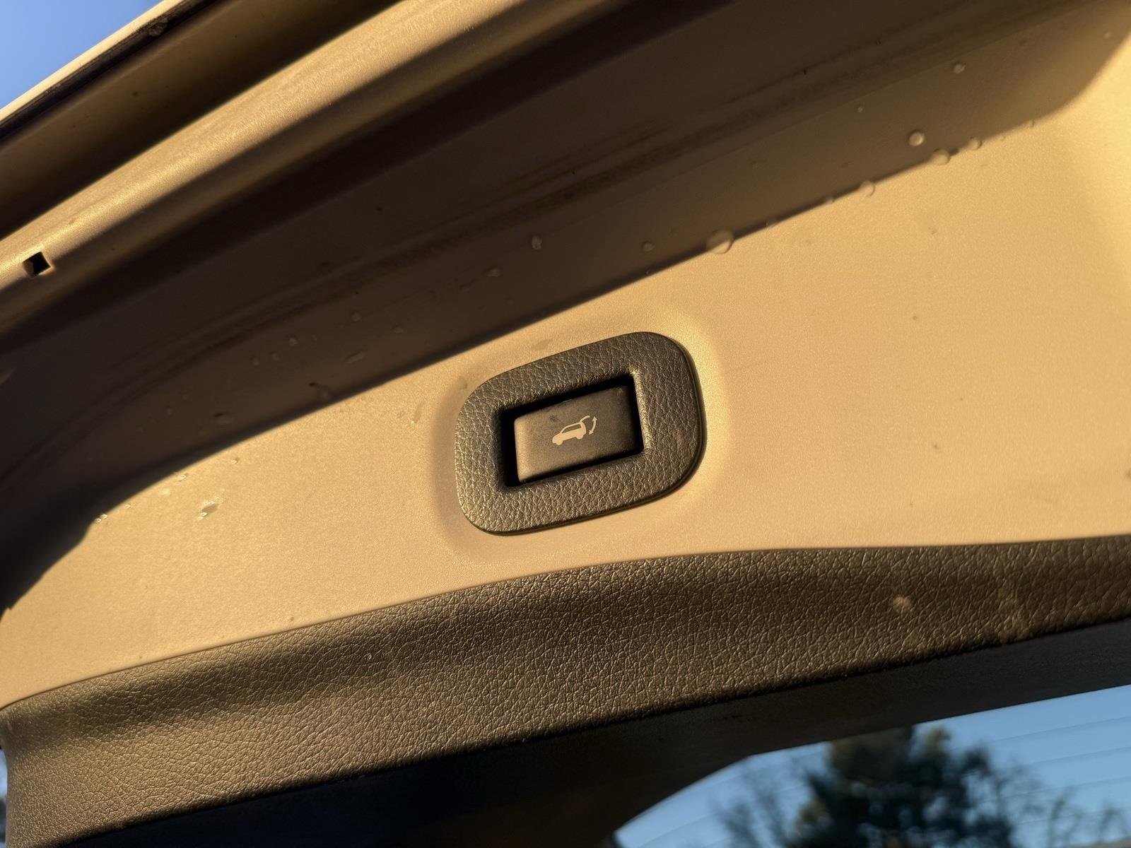 Used 2016 Nissan Rogue SV w/ SV Premium Package image 14