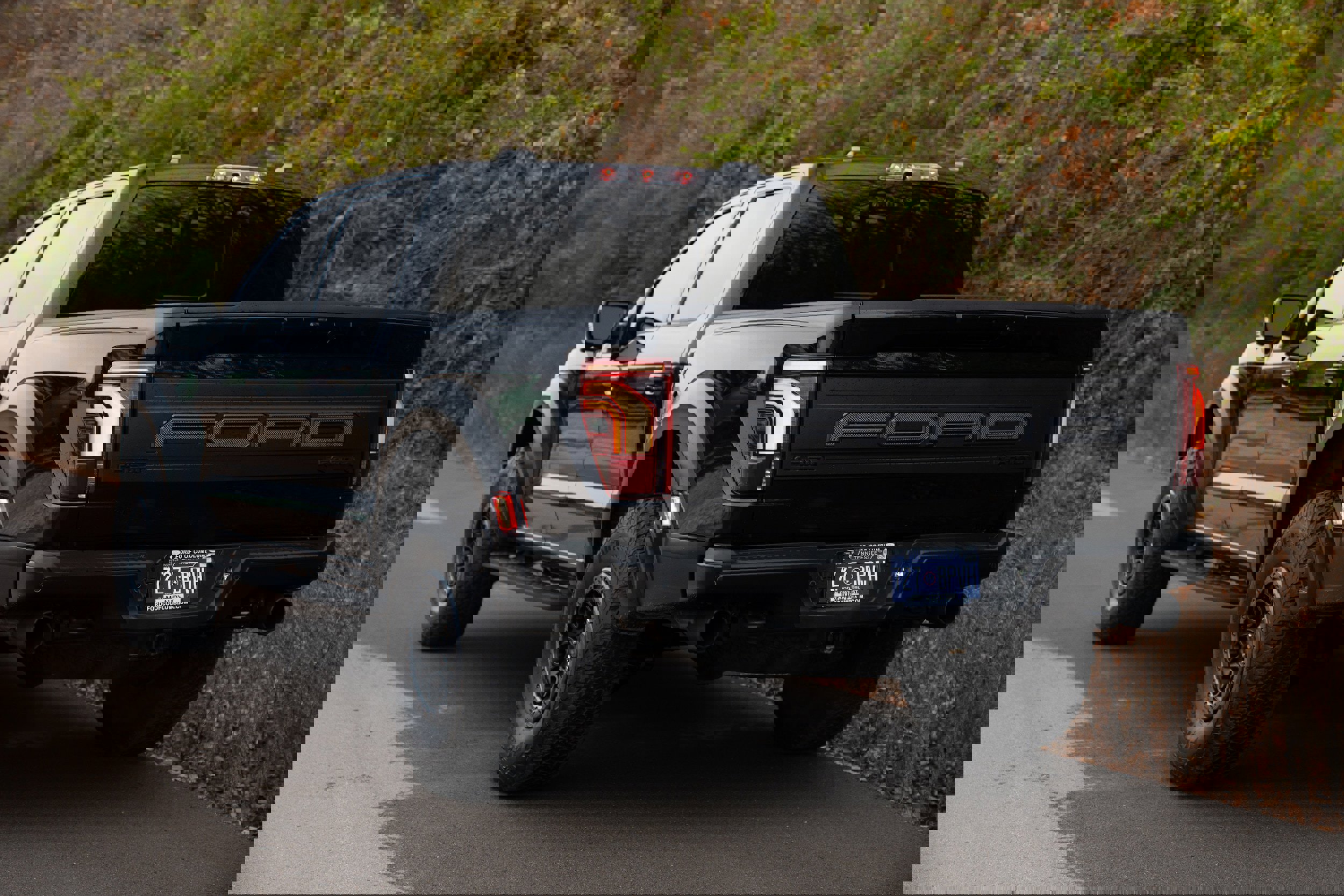 Used 2025 Ford F150 Raptor image 8