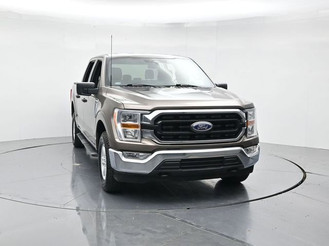 Certified 2022 Ford F150 XLT w/ Equipment Group 301A Mid image 4