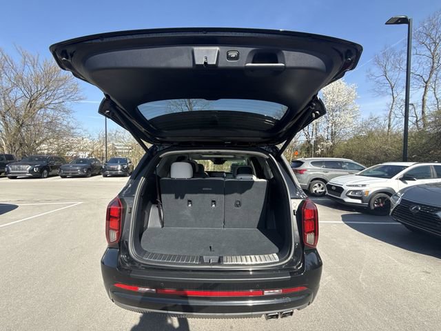 Used 2025 Hyundai Palisade Calligraphy image 24