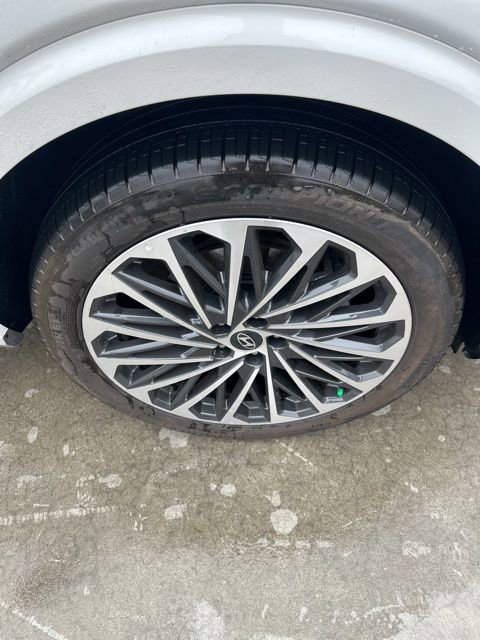 Used 2026 Hyundai Palisade Calligraphy image 5