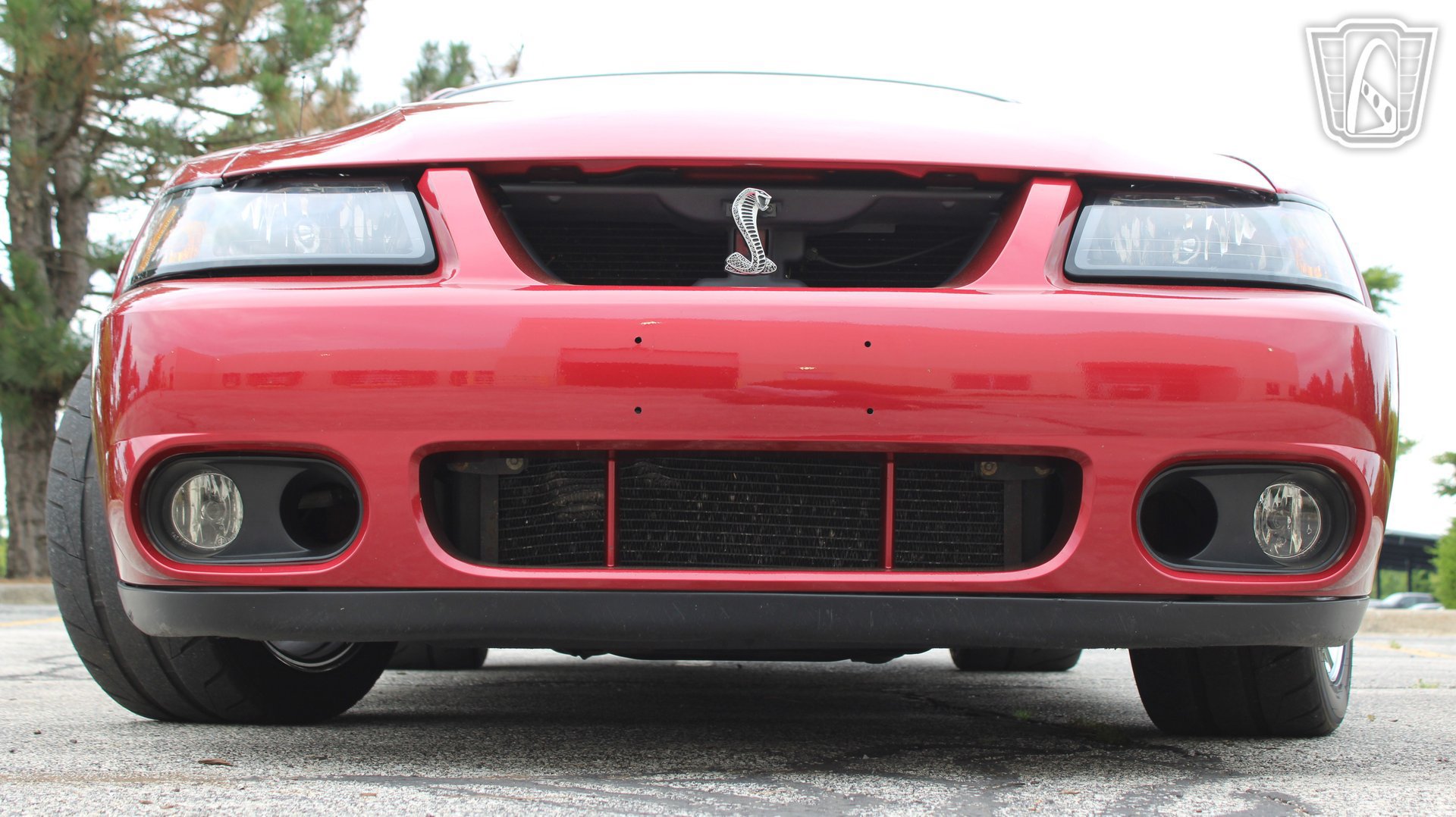 Used 2003 Ford Mustang Cobra RWD image 35
