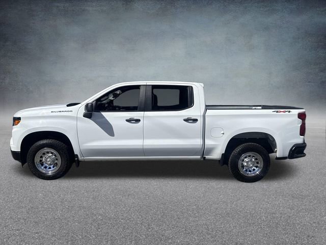 Used 2023 Chevrolet Silverado 1500 W/T w/ WT Fleet Convenience Package image 7