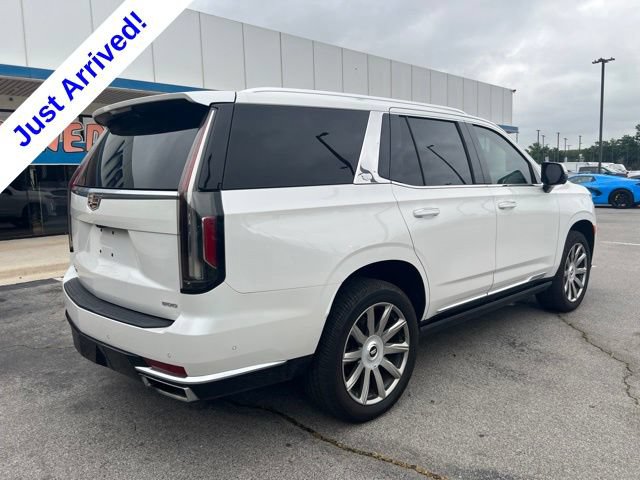 Used 2021 Cadillac Escalade Premium Luxury Platinum RWD image 3