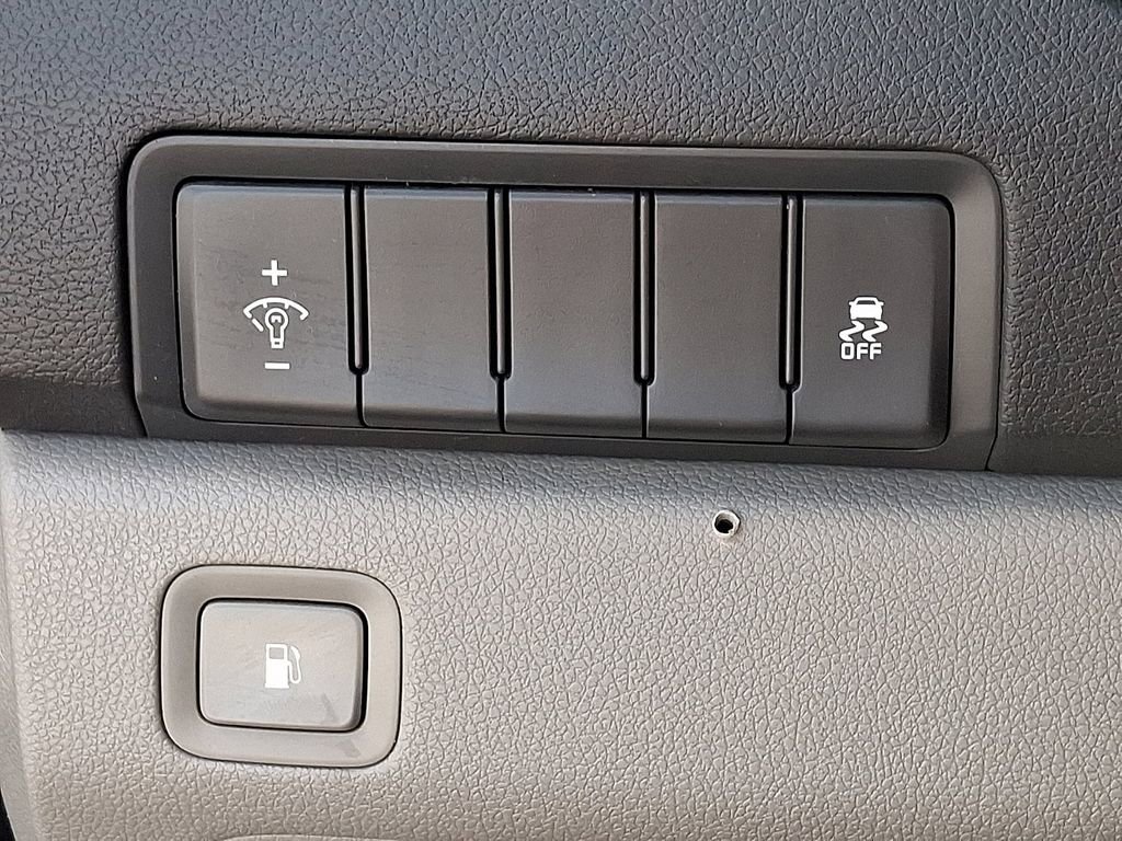 Used 2018 Kia Sedona EX FWD image 25