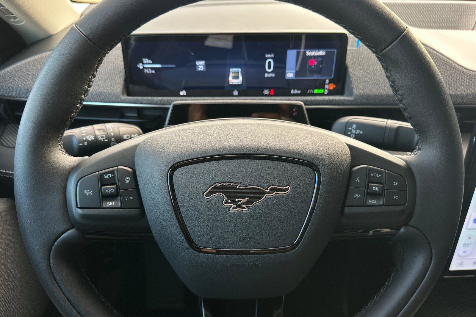 New 2025 Ford Mustang Mach-E Premium image 21