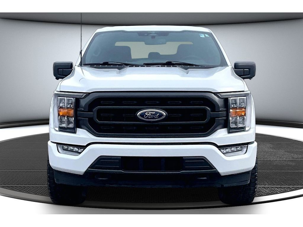 Used 2023 Ford F150 XLT w/ Equipment Group 302A High image 4