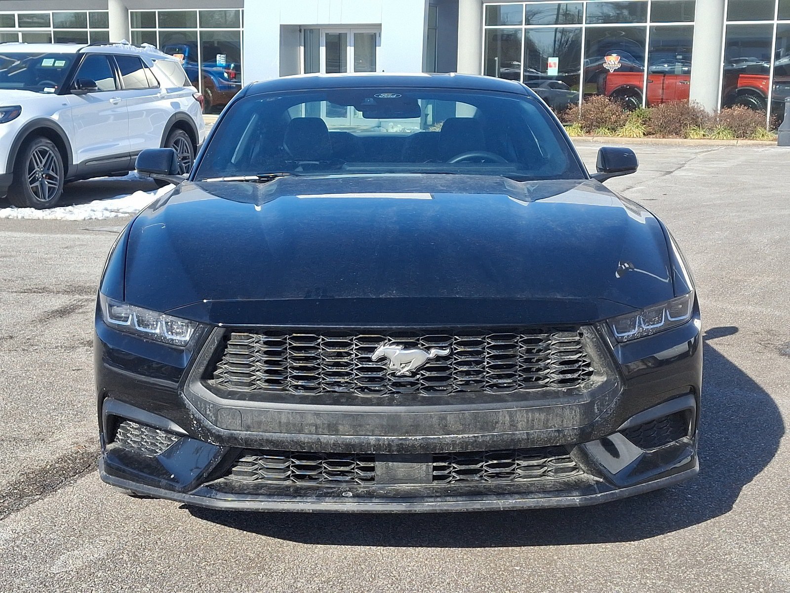 New 2025 Ford Mustang Premium RWD image 2