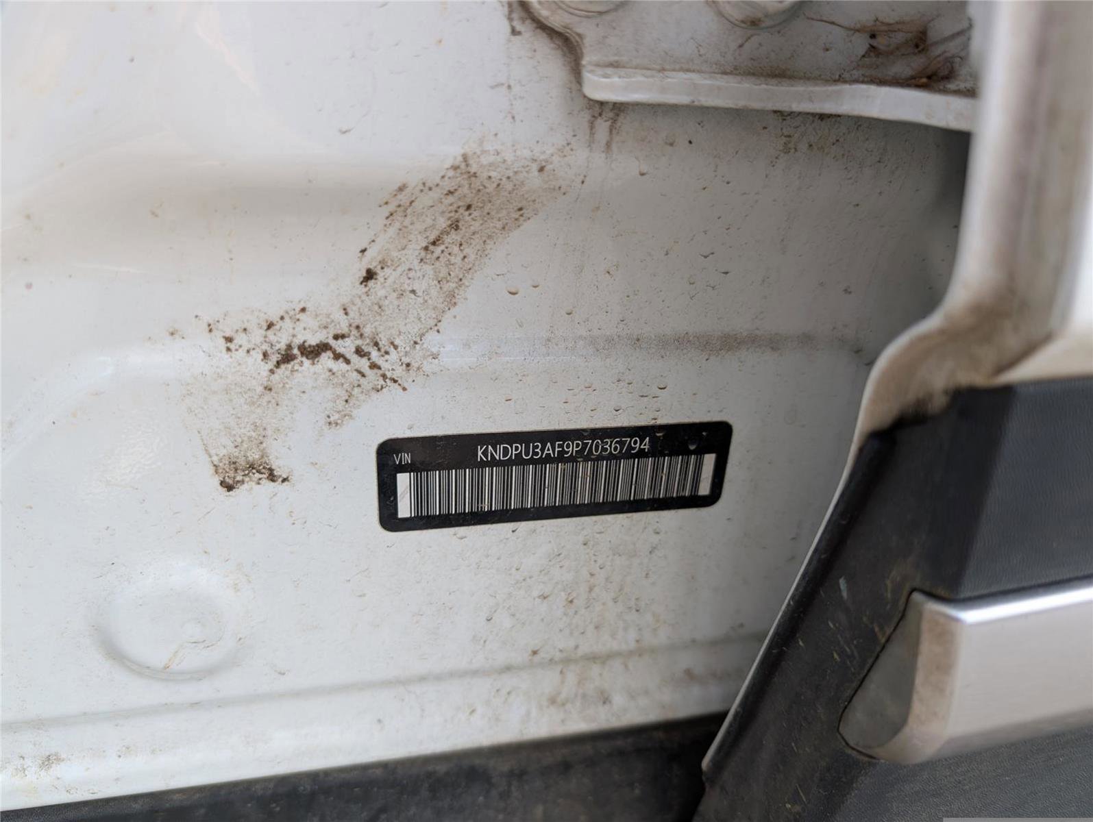 Used 2023 Kia Sportage LX image 11