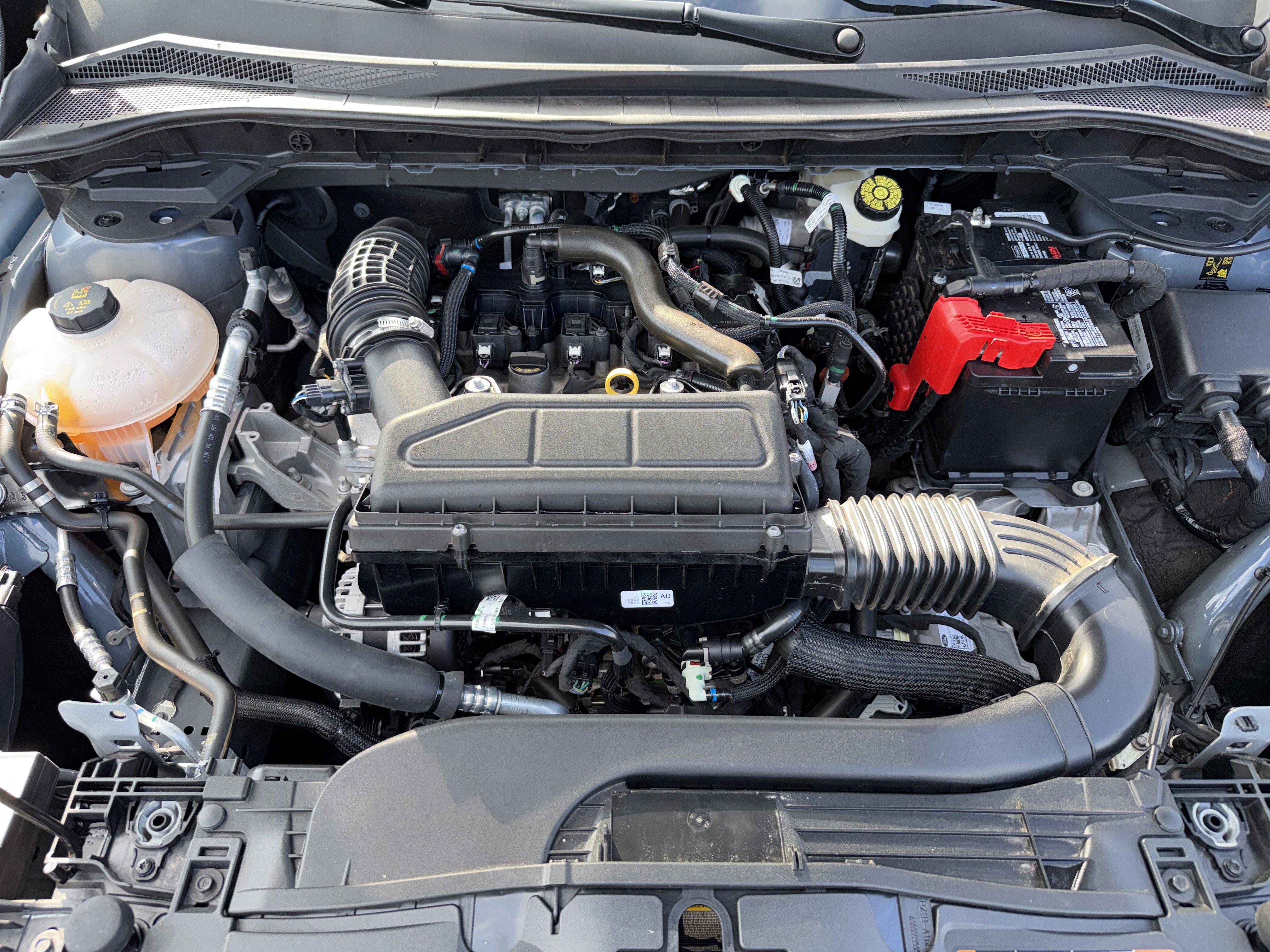 Used 2024 Ford Escape ST-Line w/ Tech Pack #1 image 18