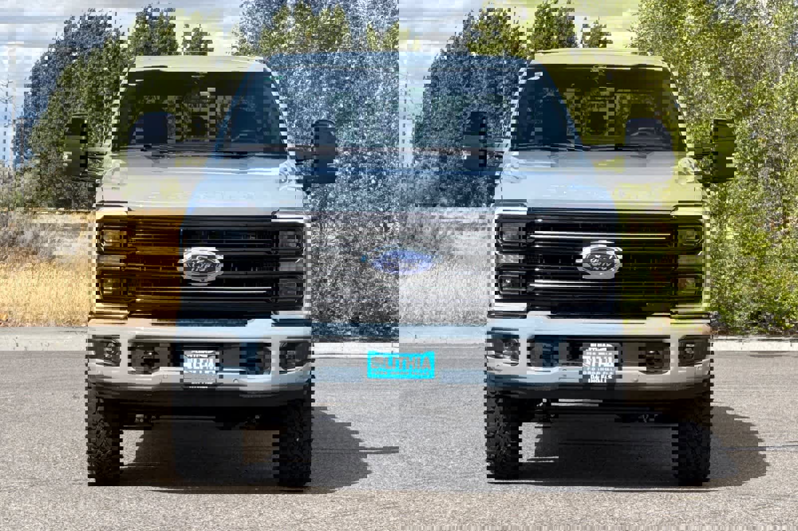 New 2026 Ford F250 Platinum image 10