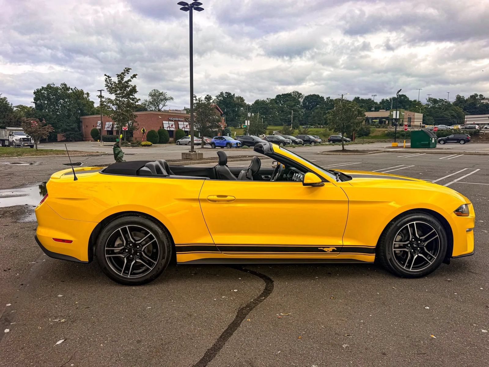 Used 2018 Ford Mustang Premium w/ Equipment Group 201A RWD image 8